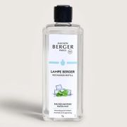 Erfrischendes-Minzwasser